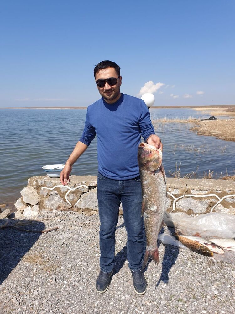 ���� 22594843 ������� �����, 37 ���, ���� ���������� � ��������