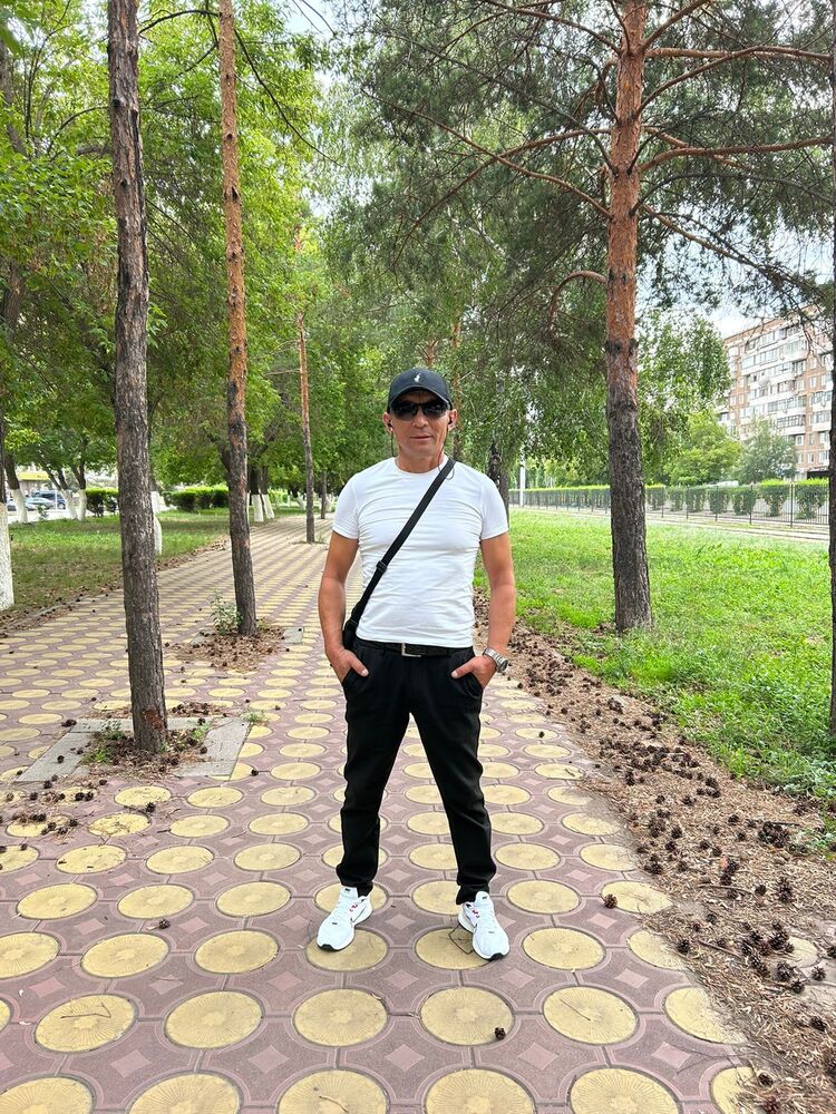  37331773  , 52 ,    