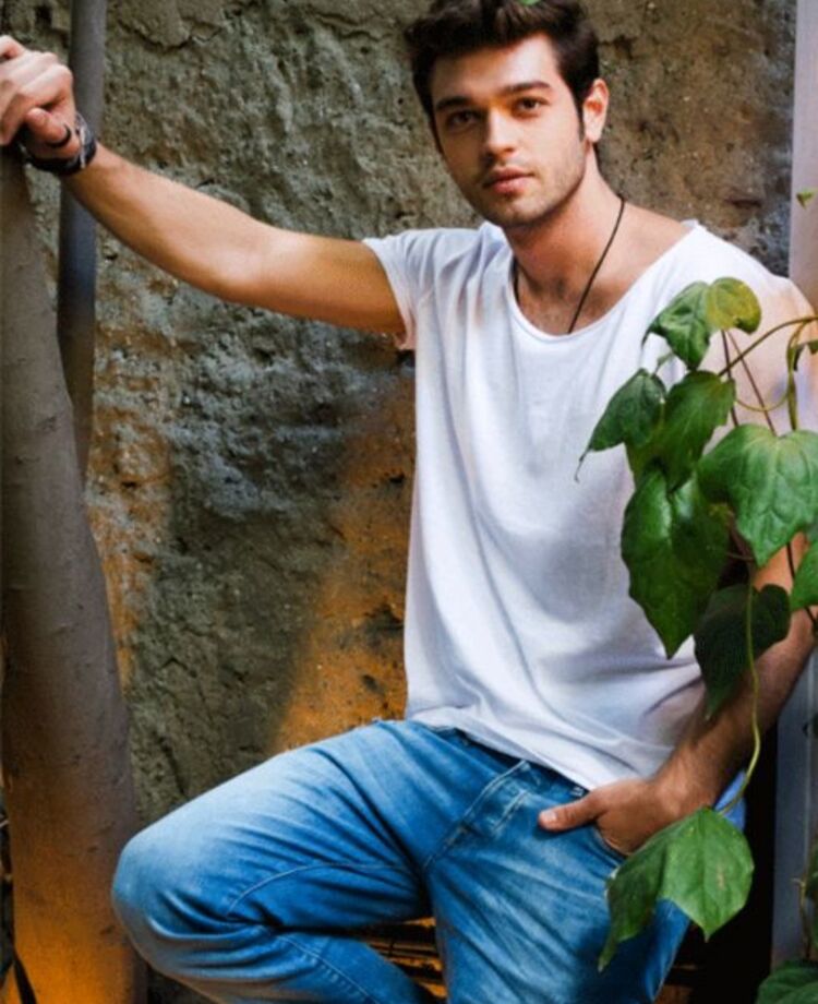 ���� 23544053 ������� ����, 31 ���, ���� ���������� � ������