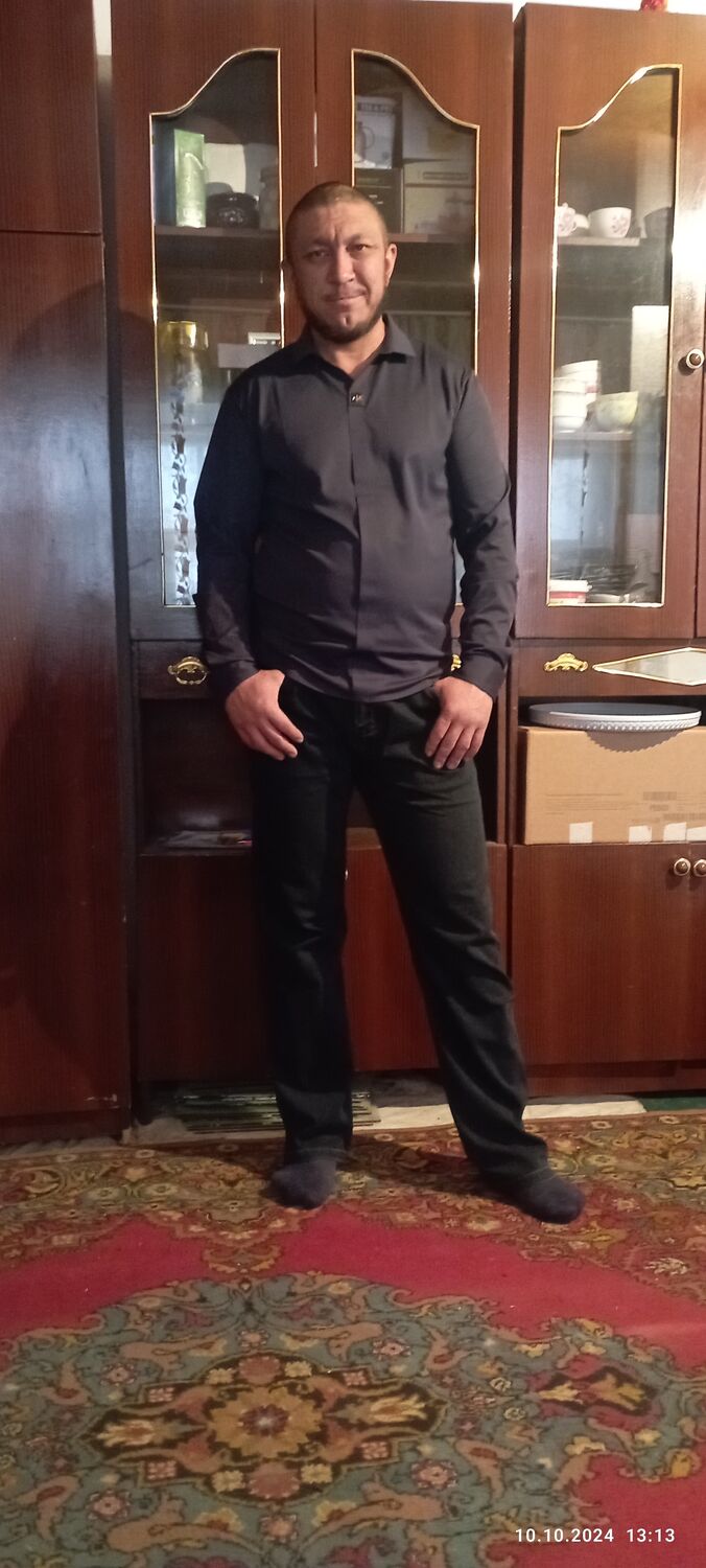  50337873  , 40 ,    -