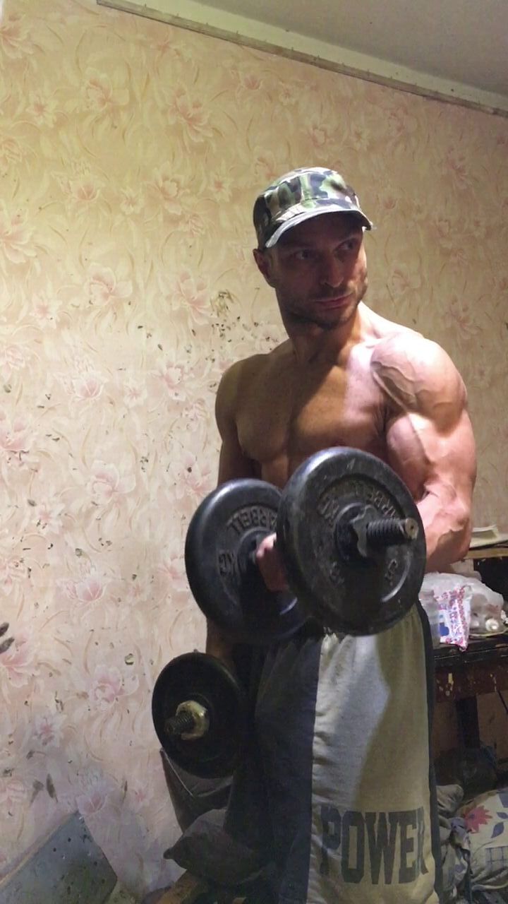 ���� 40151543 ������� Ditrix, 39 ���, ���� ���������� � ������