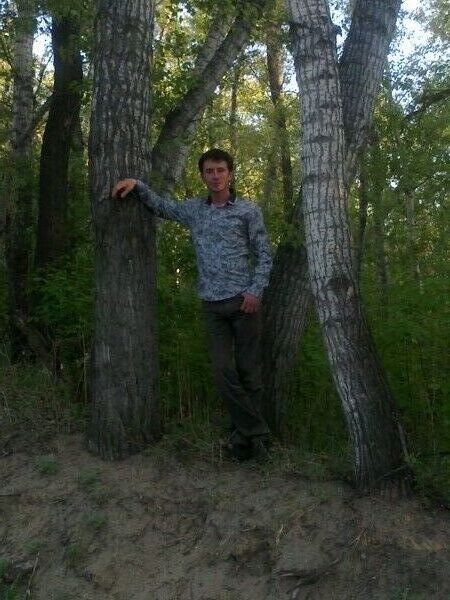 ���������� ����, ���� ������� ������, 44 ����, ������������ ��� ����� � ���������, c�������� ���������