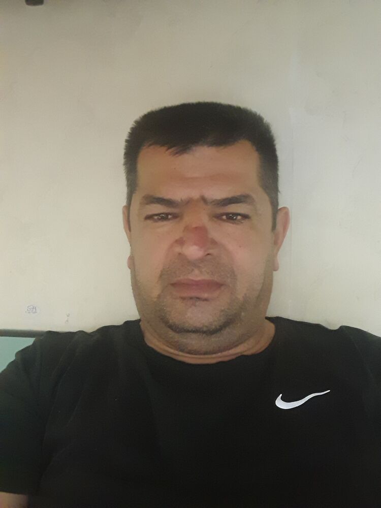  49142053  , 43 ,    