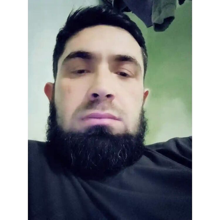  33081733  , 34 ,    