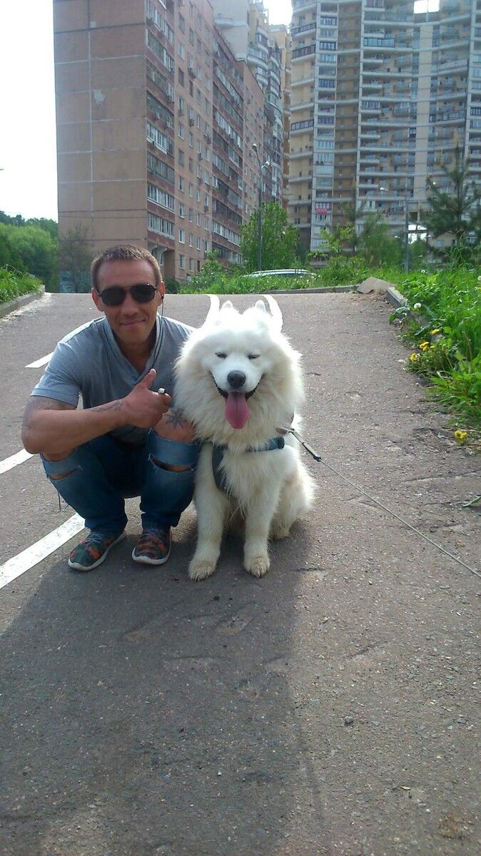 ���������� ������, ���� ������� ��������, 47 ���, ������������ ��� ������, ����� � ���������, c�������� ���������