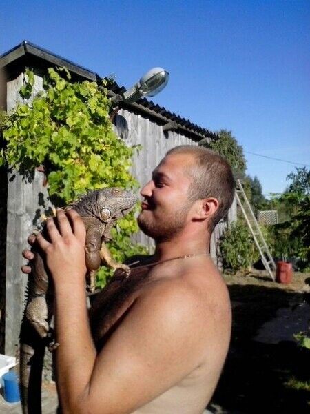 ���� 7874533 ������� �������, 30 ���, ���� ���������� � �������