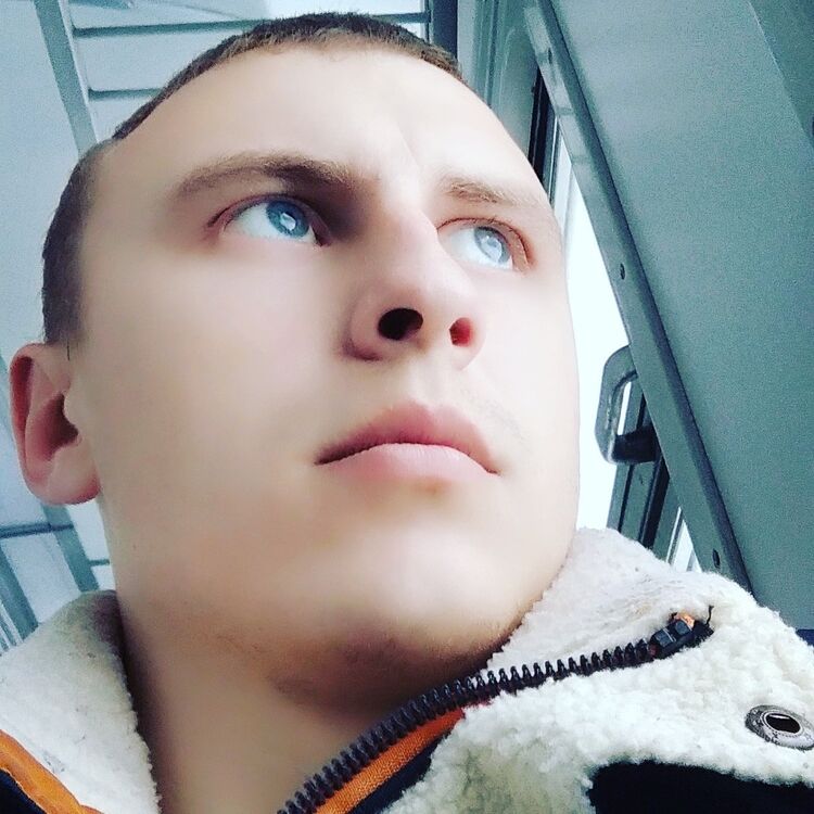  17572313  , 28 ,    