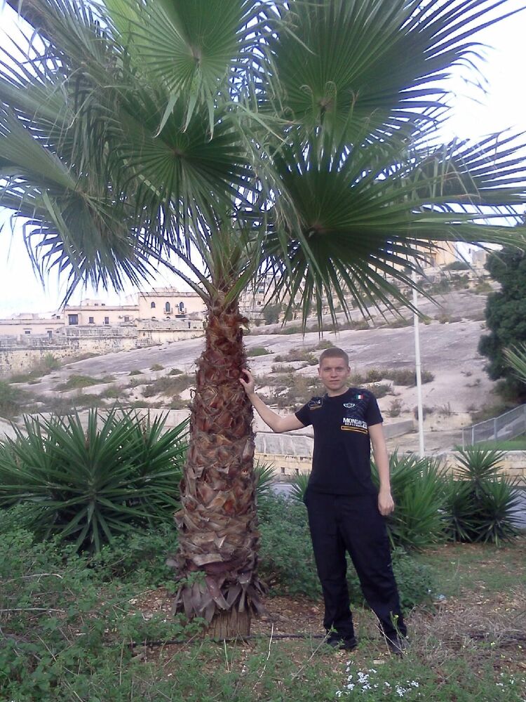 ���������� ���������, ���� ������� ������, 36 ���, ������������ ��� ������, ����� � ���������