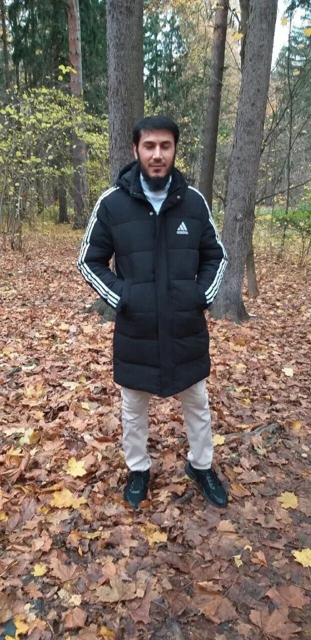  33343473  , 39 ,    