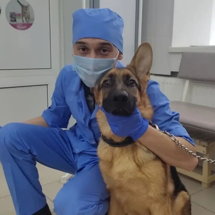 ���������� �����������, ���� ������� ������, 31 ���, ������������ ��� ������, ����� � ���������, c�������� ���������