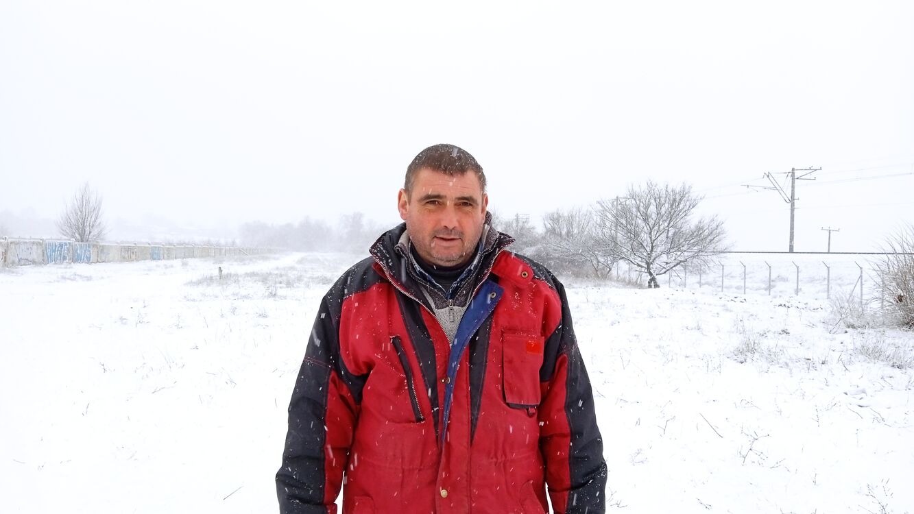 ���������� �����������, ���� ������� �����, 46 ���, ������������ ��� ������, ����� � ���������