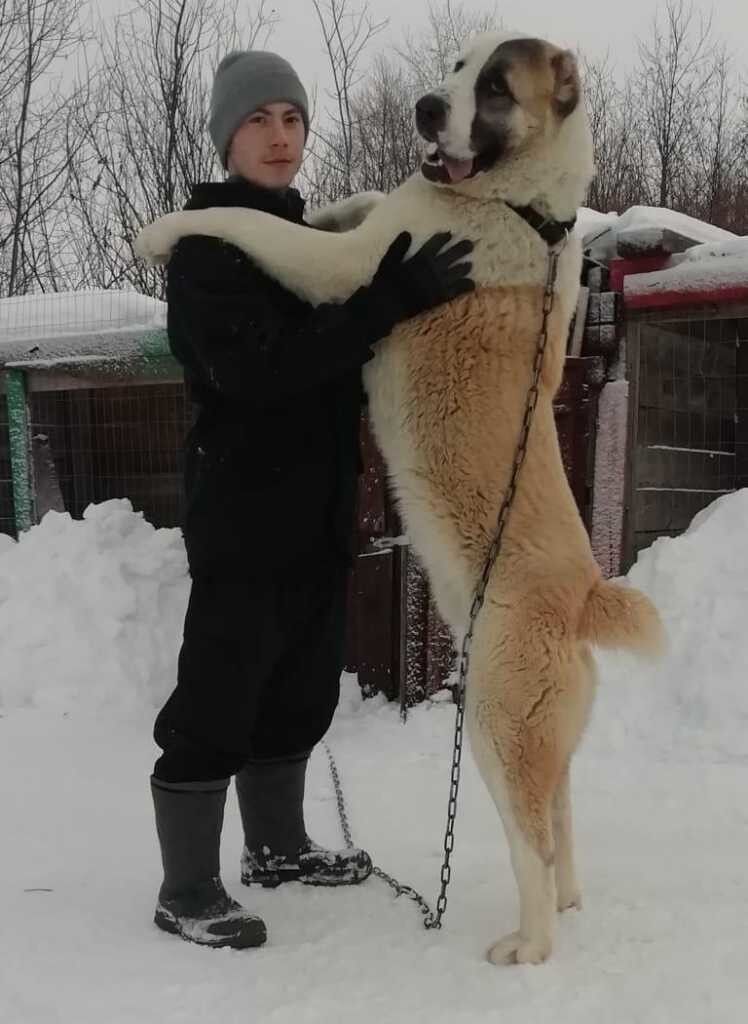 ���� 19208253 ������� ����, 27 ���, ���� ���������� � ������������