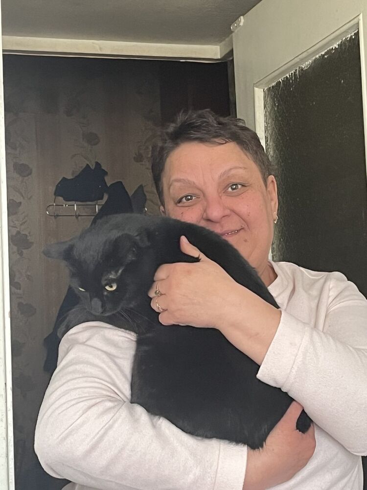 ���� 56340843 ������� ����, 53 ����, ���� ���������� � �����