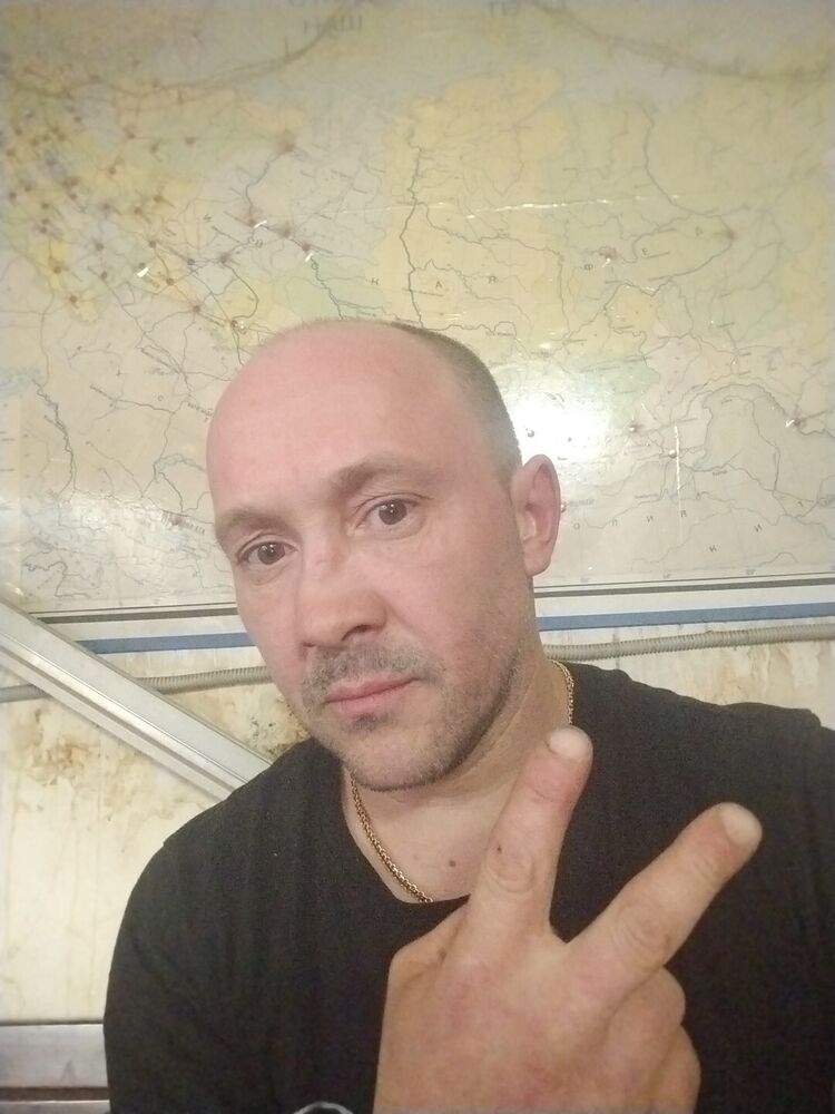  53593663  , 45 ,    