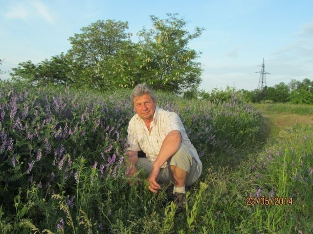  ,   , 67 ,   