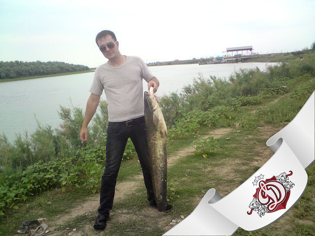 ���������� ������, ���� ������� ������, 39 ���, ������������ ��� ������, ����� � ���������, c�������� ���������