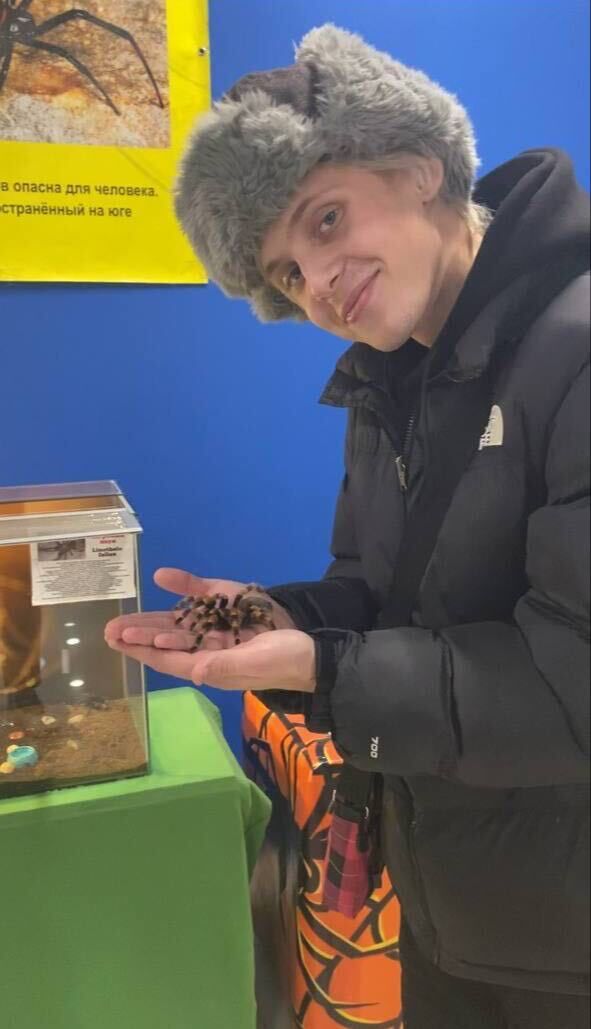 ���������� ������, ���� ����� ����, 24 ����, ������������ ��� ������, ����� � ���������