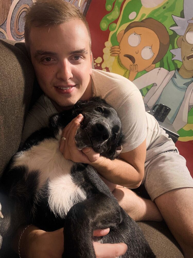 ���������� ���������, ���� ������� ����, 26 ���, ������������ ��� ������, ����� � ���������, c�������� ���������, ���������