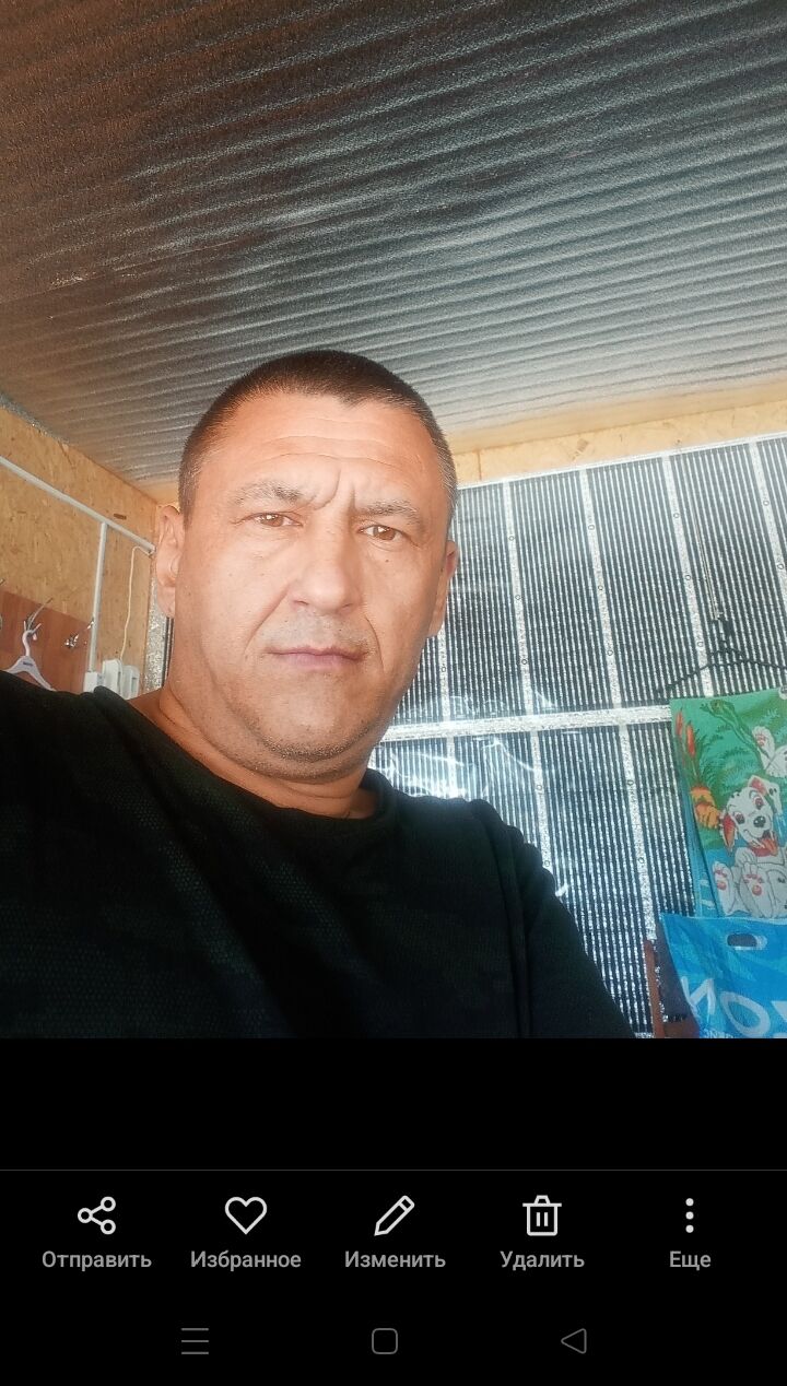  46183743  , 50 ,    
