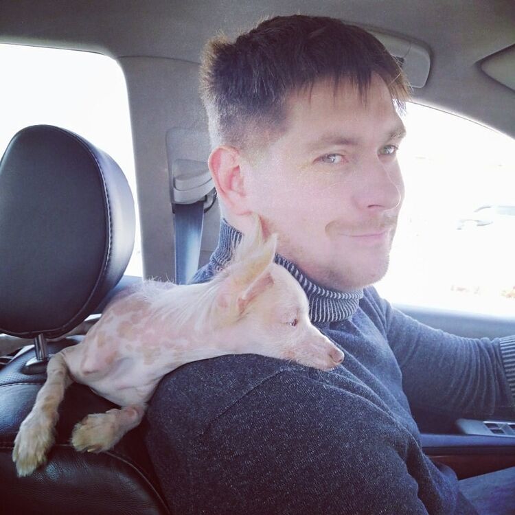 ���������� ������, ���� ������� ���������, 105 ���, ������������ ��� ������, ����� � ���������, c�������� ���������