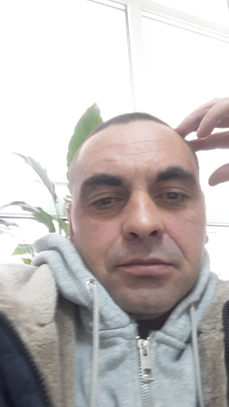 24868073  , 41 ,    