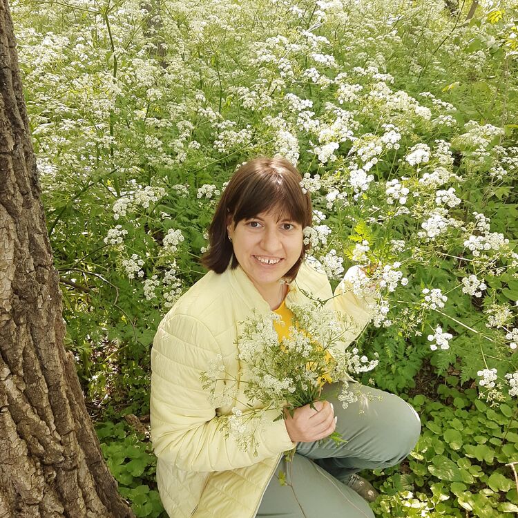  26692593  , 38 ,    --