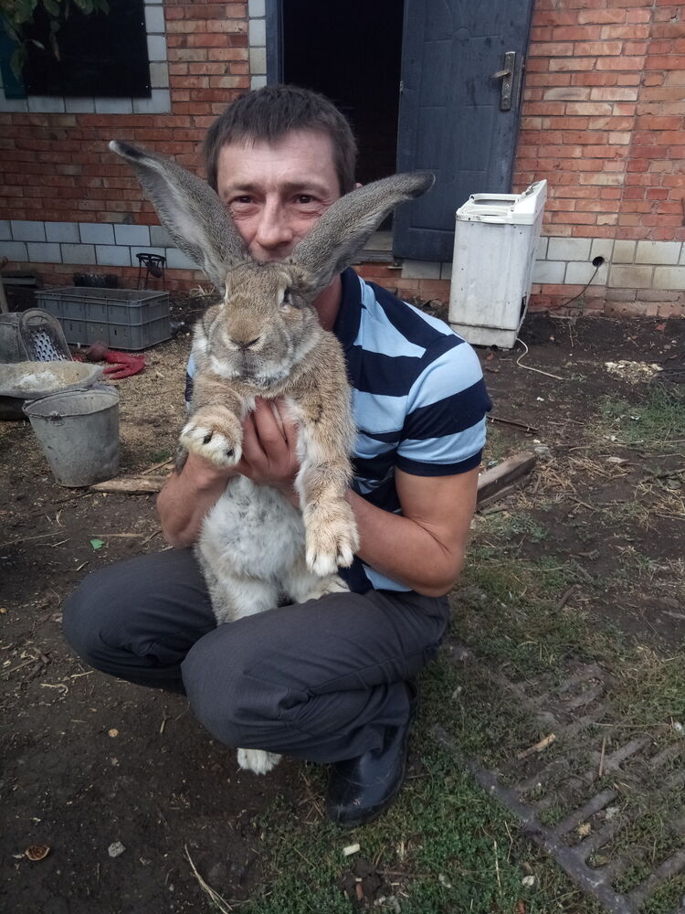 ���������� ������-��-����, ���� ������� ������, 53 ����, ������������ ��� ������, ����� � ���������