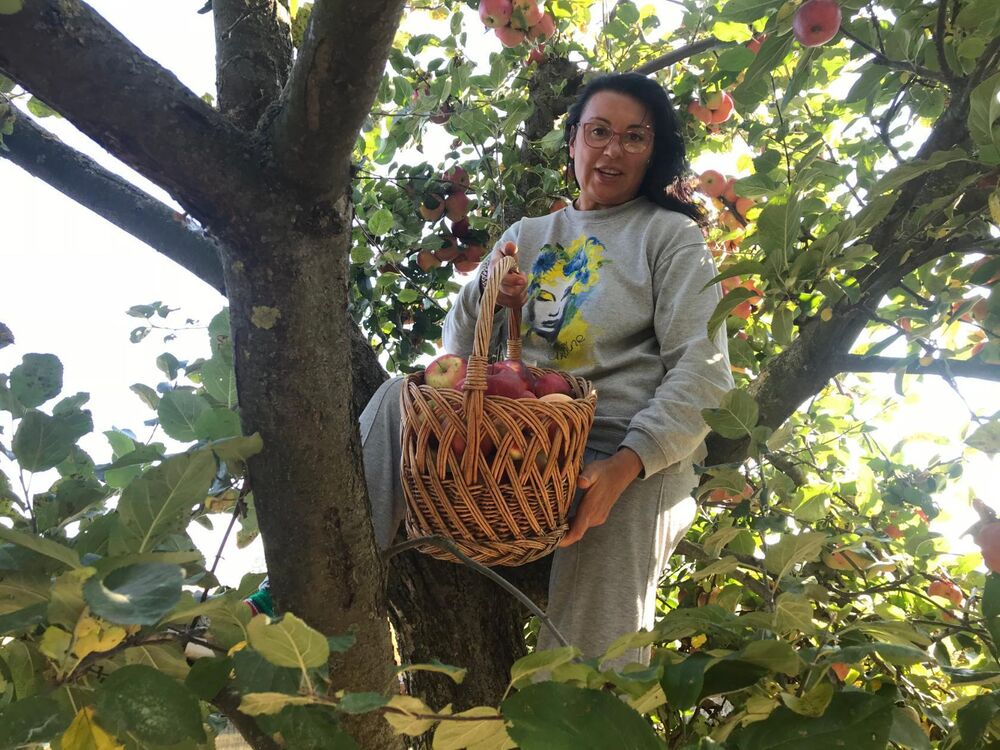 ���������� ������, ���� ������� �����, 62 ����, ������������ ��� ������, ����� � ���������, c�������� ���������, ���������