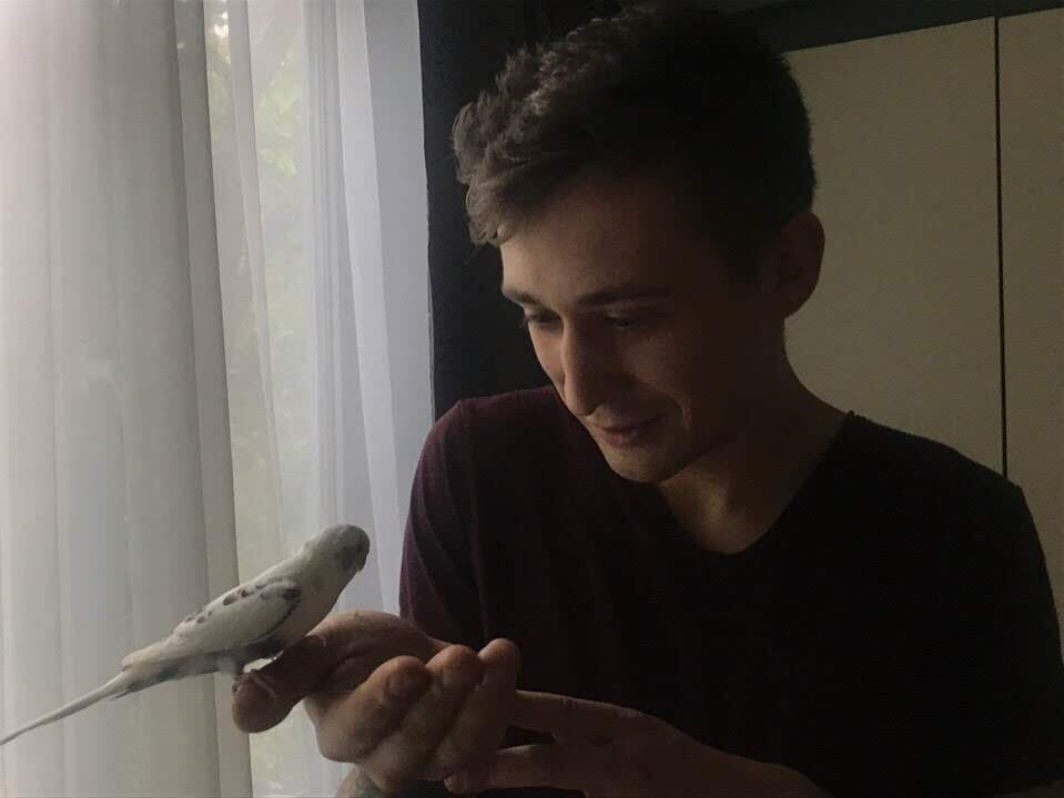 ���������� ������, ���� ������� ������, 29 ���, ������������ ��� ������, ����� � ���������, ���������