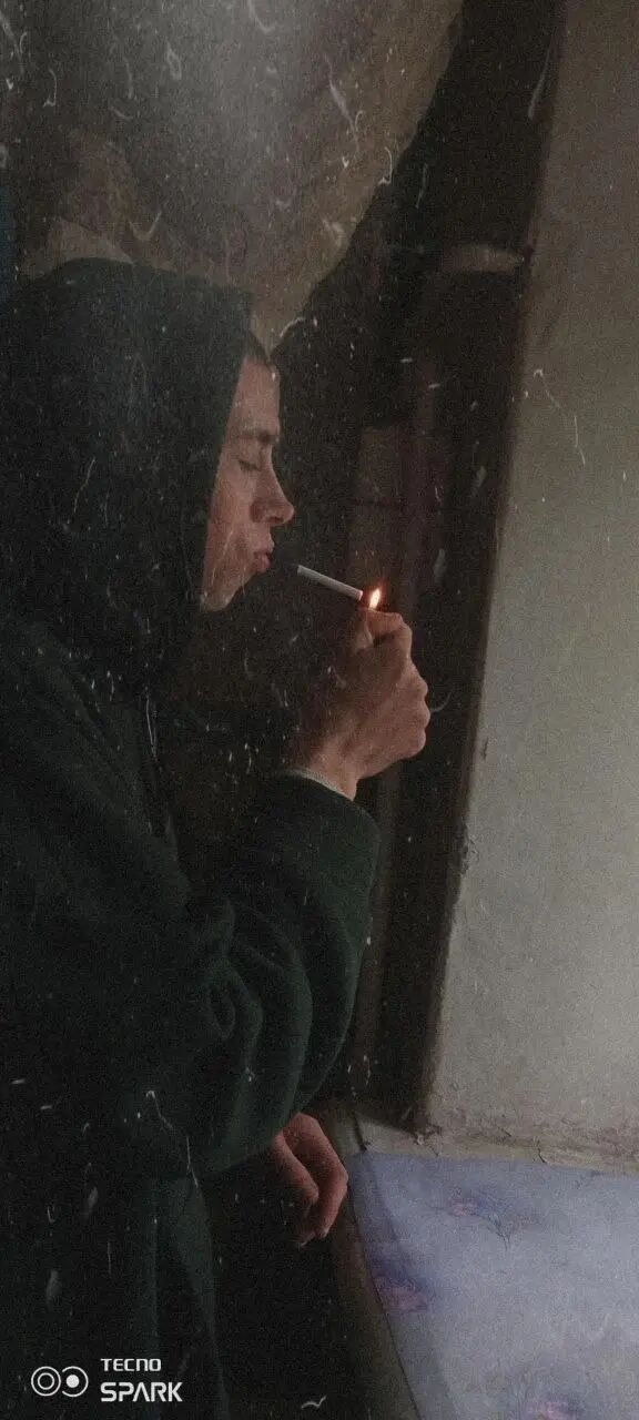 ���� 33040113 ������� �������, 26 ���, ���� ���������� � ��������