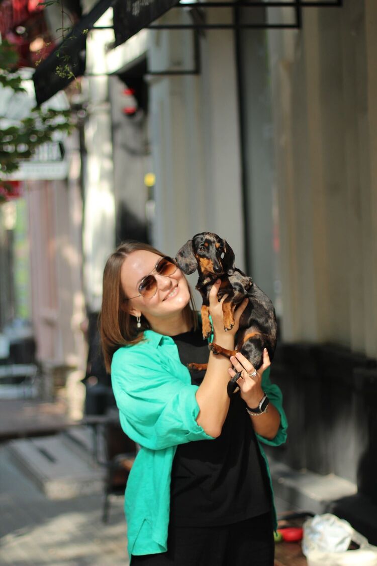  33786833  , 38 ,    --