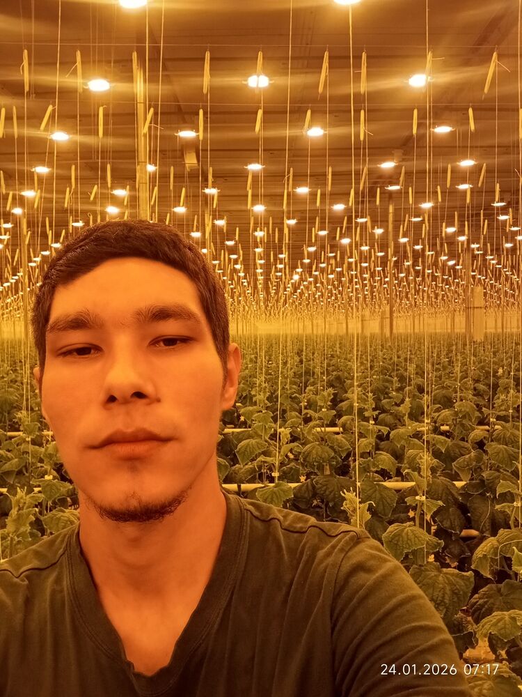 ���� 55564583 ������� ���������, 26 ���, ���� ���������� � ����� ������