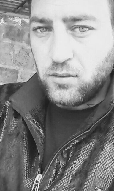 ���� 25300523 ������� Avo, 34 ����, ���� ���������� � �������