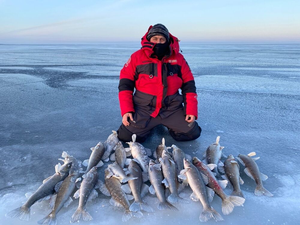 ���������� ������, ���� ������� Roman, 50 ���, ������������ ��� ������, ����� � ���������