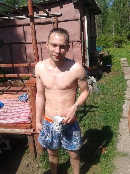  15173173  , 41 ,    -