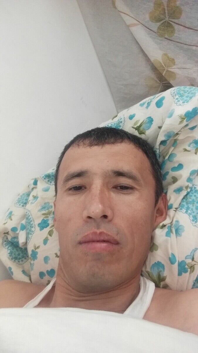  21006223  , 43 ,    
