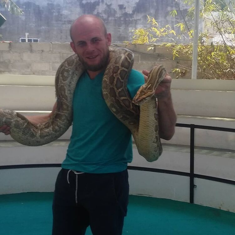  ,   , 37 ,   
