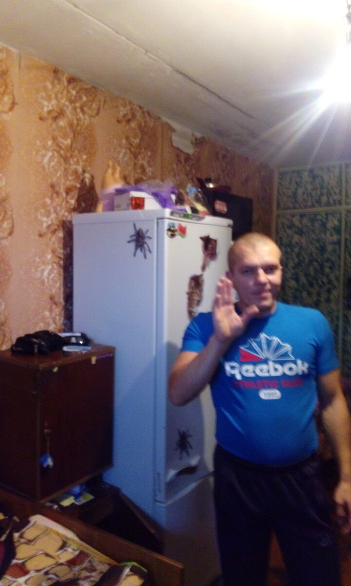  17864453  , 38 ,    
