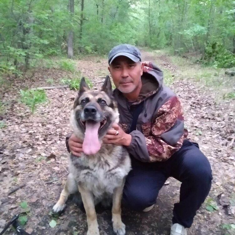 ���� 38739023 ������� ������, 50 ���, ���� ���������� � �����