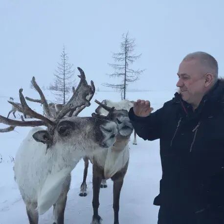 ���������� ����������, ���� ������� �������, 65 ���, ������������ ��� ������, ����� � ���������, c�������� ���������, ���������