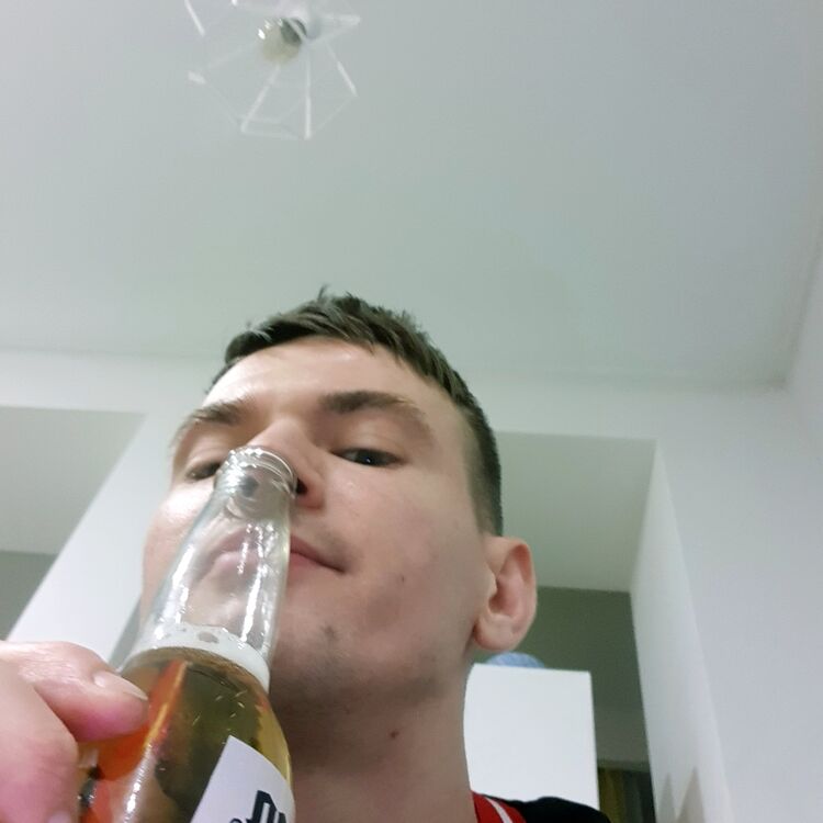  33772603  , 28 ,    