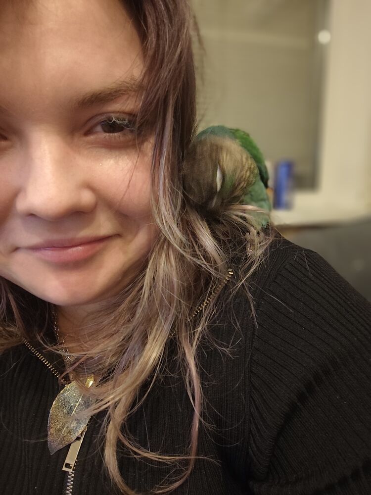 ���������� ������������, ���� ������� �����, 29 ���, ������������ ��� ������, ����� � ���������