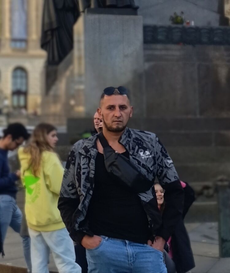  53085533  , 31 ,    
