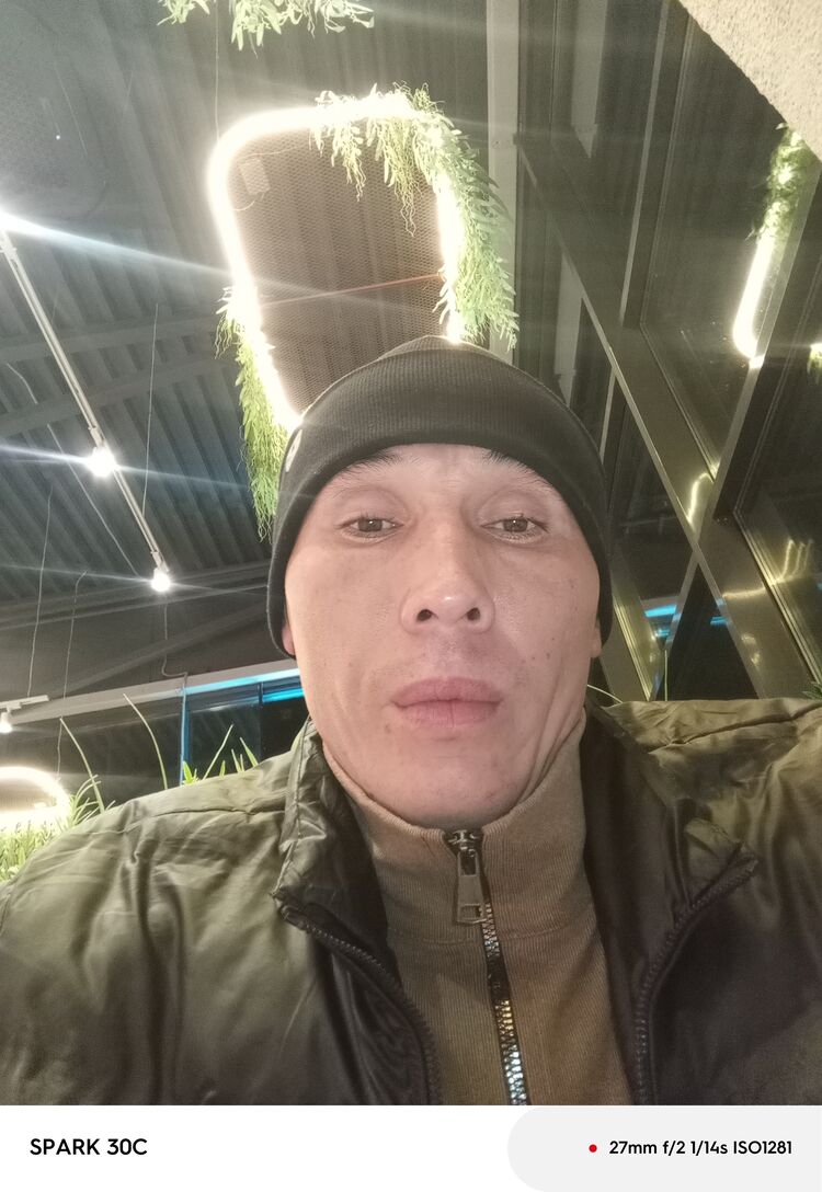  53733413  , 33 ,     
