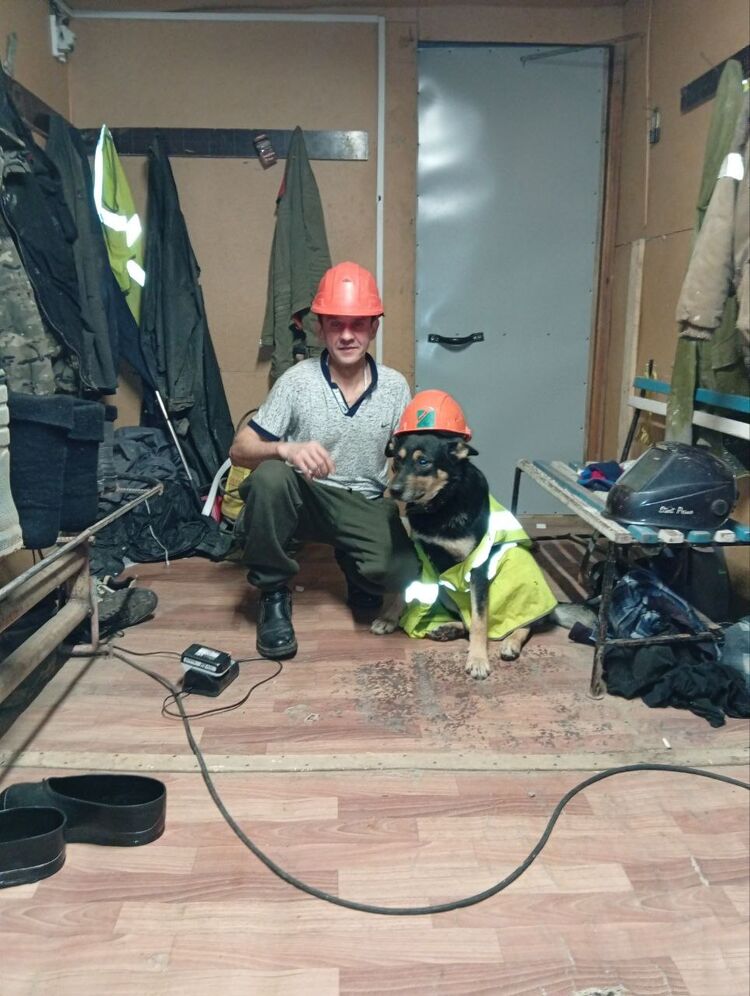 ���������� ������, ���� ������� ������, 49 ���, ������������ ��� ����� � ���������, c�������� ���������, ���������