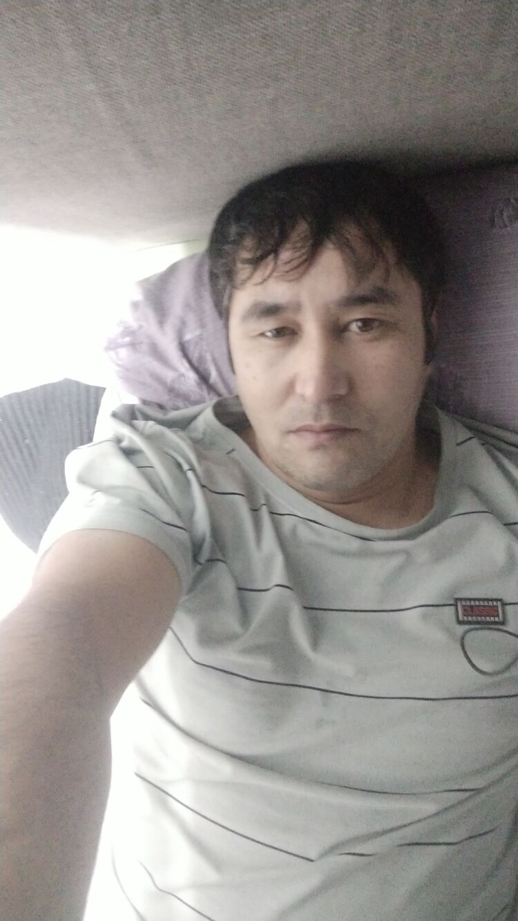  40353693  , 40 ,    