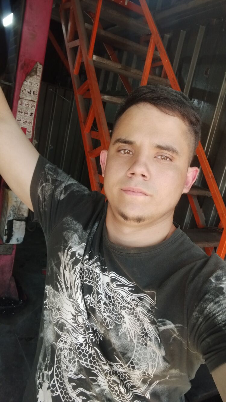  52455973  , 22 ,    