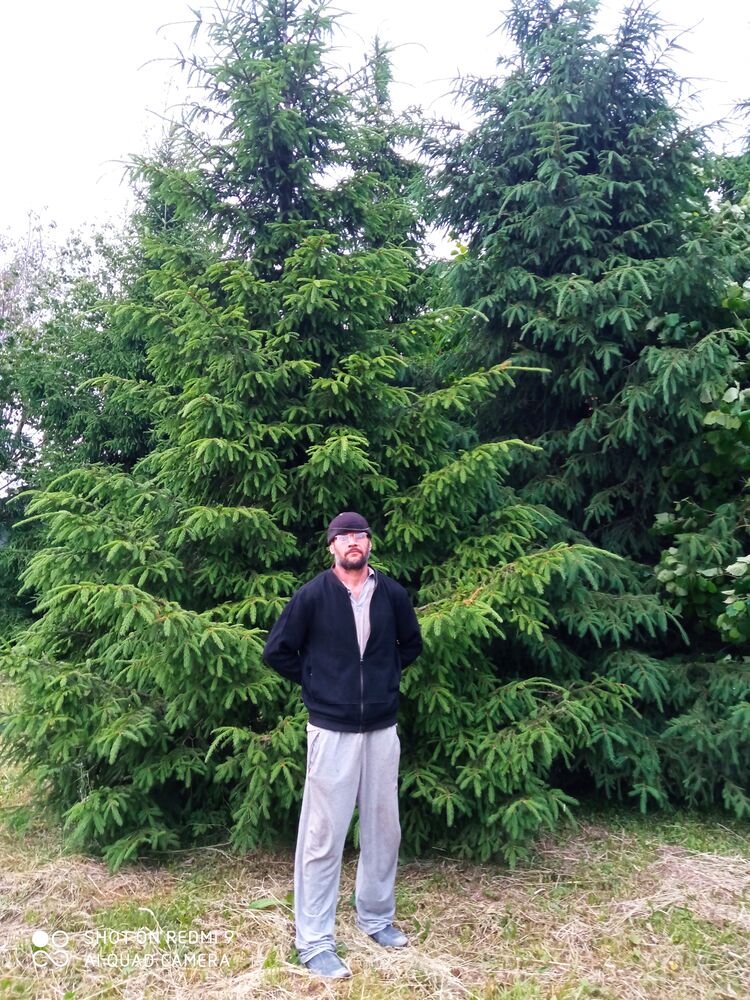  ,   , 45 ,   ,   , 