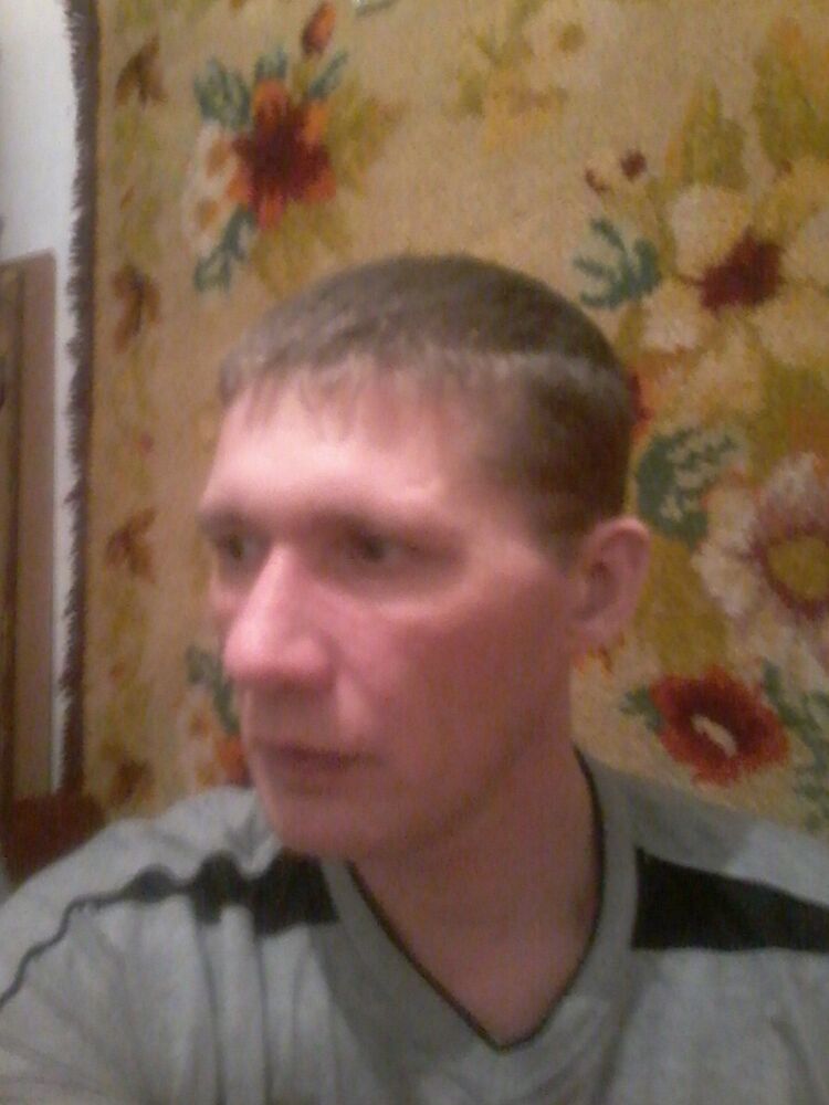  9316213  , 43 ,    