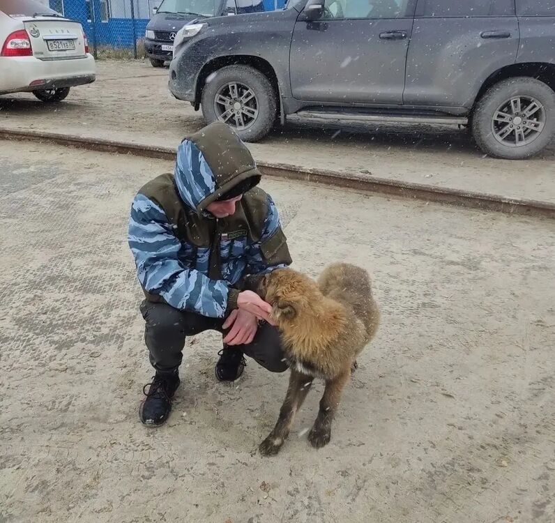 ���������� ���������, ���� ������� Anton, 29 ���, ������������ ��� ������, ����� � ���������, c�������� ���������, ���������